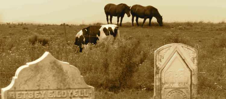 Paroles d’Outre-temps | Le cimetière Lovell